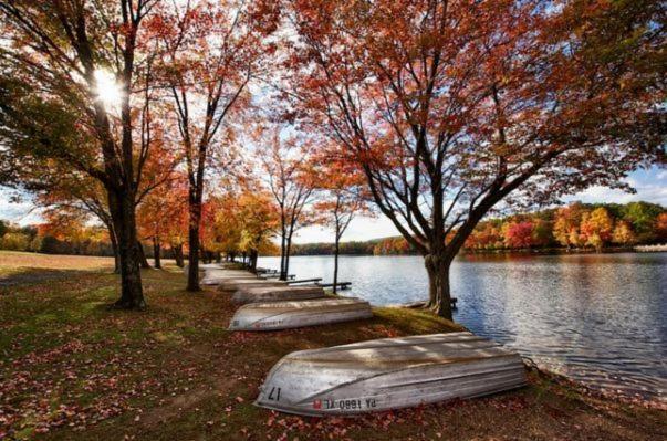 Entire 3 Bedroom Adventure Chalet, Near The Best Of The Poconos East Stroudsburg Esterno foto